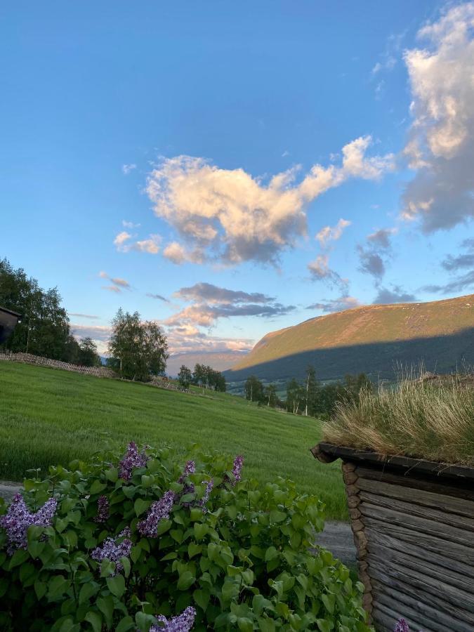 Kufjoset Villa Skjåk Exteriör bild